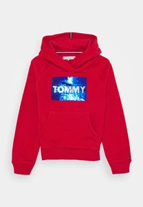 Tommy Hilfiger D Flag Flip Hoodie